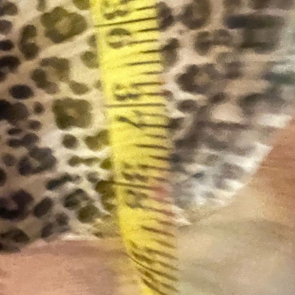 Jones New York Leopard Print Fitted Dress - Picture 12 of 12